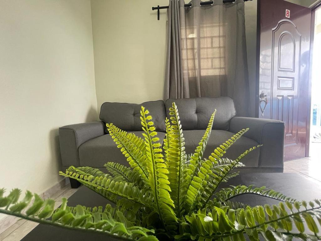 לה רומנה Romana Suite Paradise מראה חיצוני תמונה